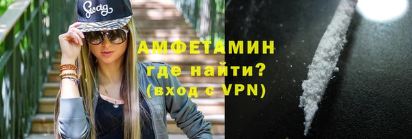 прущие грибы Болохово