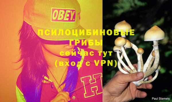 дживик Покачи
