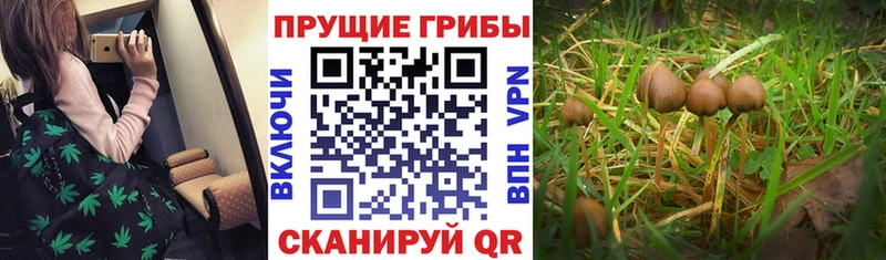 Галлюциногенные грибы Magic Shrooms  kraken сайт  Белёв  что такое  